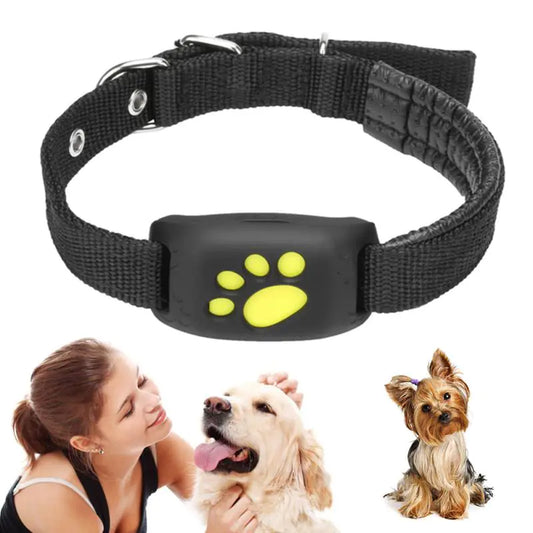 Pet Tracker Collar